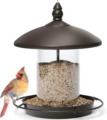 bird feeder amazon best seller pet supplies