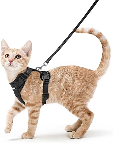 cat harness amazon top and best sellers pet supplies