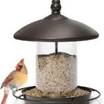 bird feeder amazon best seller pet supplies