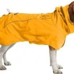 amazon dog rain coat best seller pet supplies