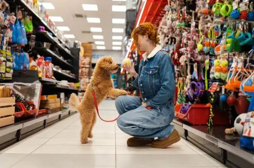 Step into a dynamic world where pet care meets innovation and variety pet supplies