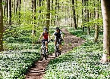 Step into the dynamic world of sports and outdoors where endless possibilities meet convenience and innovation Sports and Outdoor