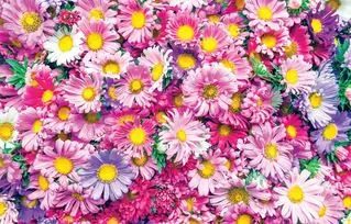 Affiliate Linking Partners eGift cards Personalize your mastercard with Flowers