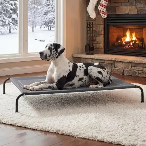Temu USA Pet Supplies Elevated Cooling Dog Bed, Raised Beds for Large Dogs - Outdoor, Chew Proof Portable Pet Cot Skid-Resistant Feet, Frame with Breathable Mesh