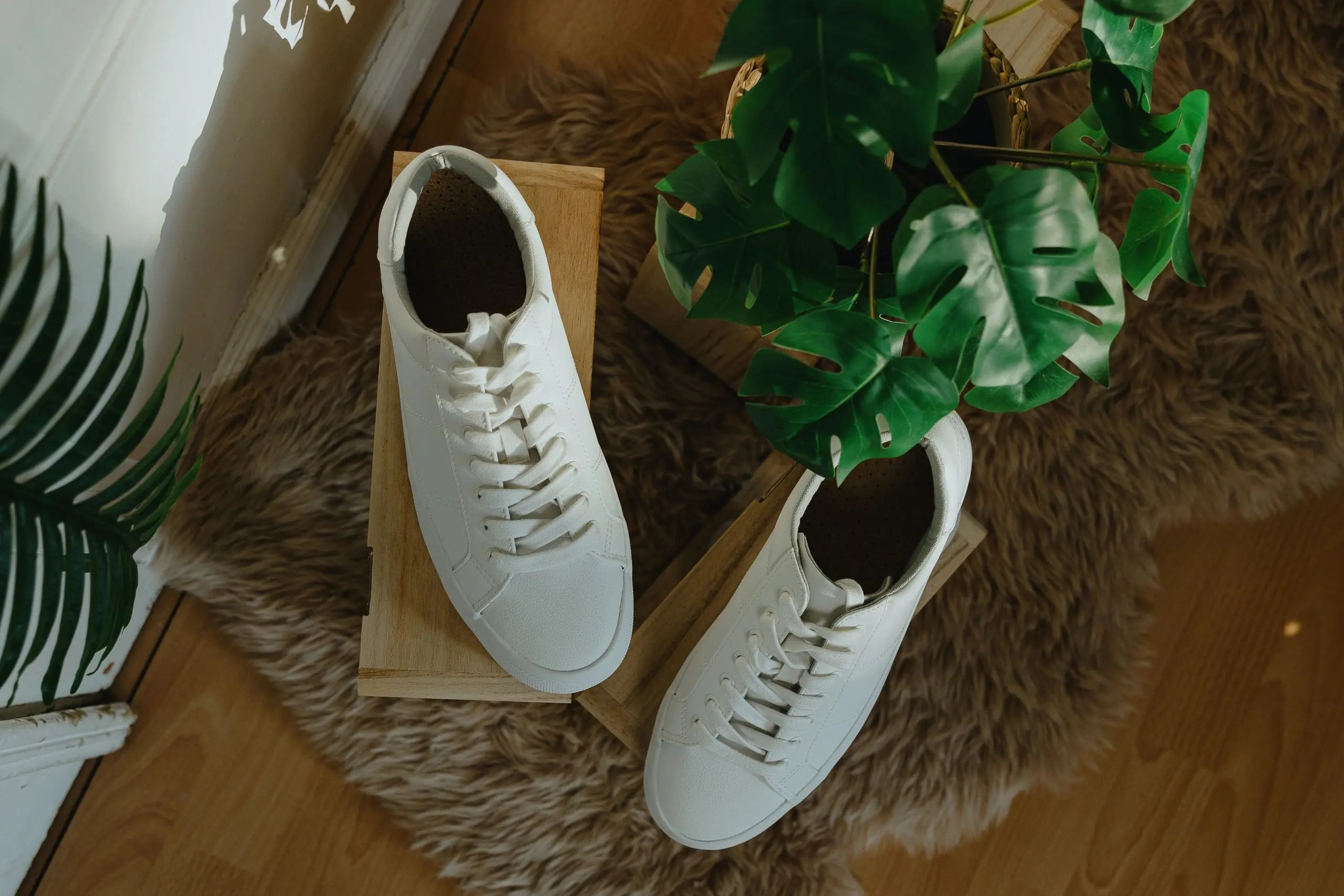 White classic sneakers on display in a store
