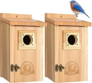 2 Pack Bird Houses for Outside Clearance