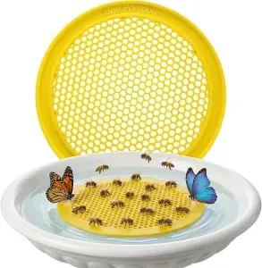 Bee Watering Station for Garden