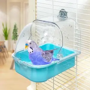 Bird Bath for Cage