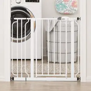 Gate for Doorways